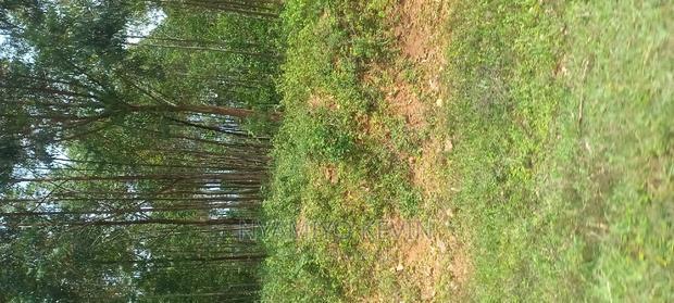 Gem Wagai (Komuok School)