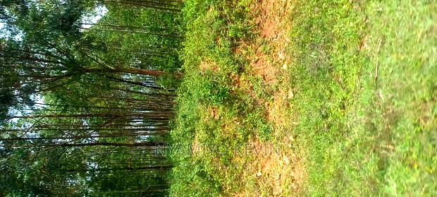 Gem Wagai (Komuok School)