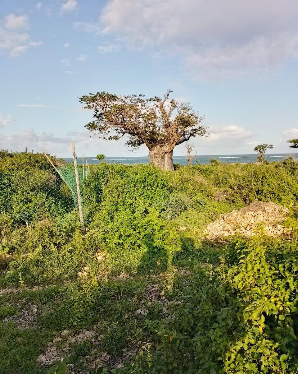 Half Acre Beach Plot in Malindi