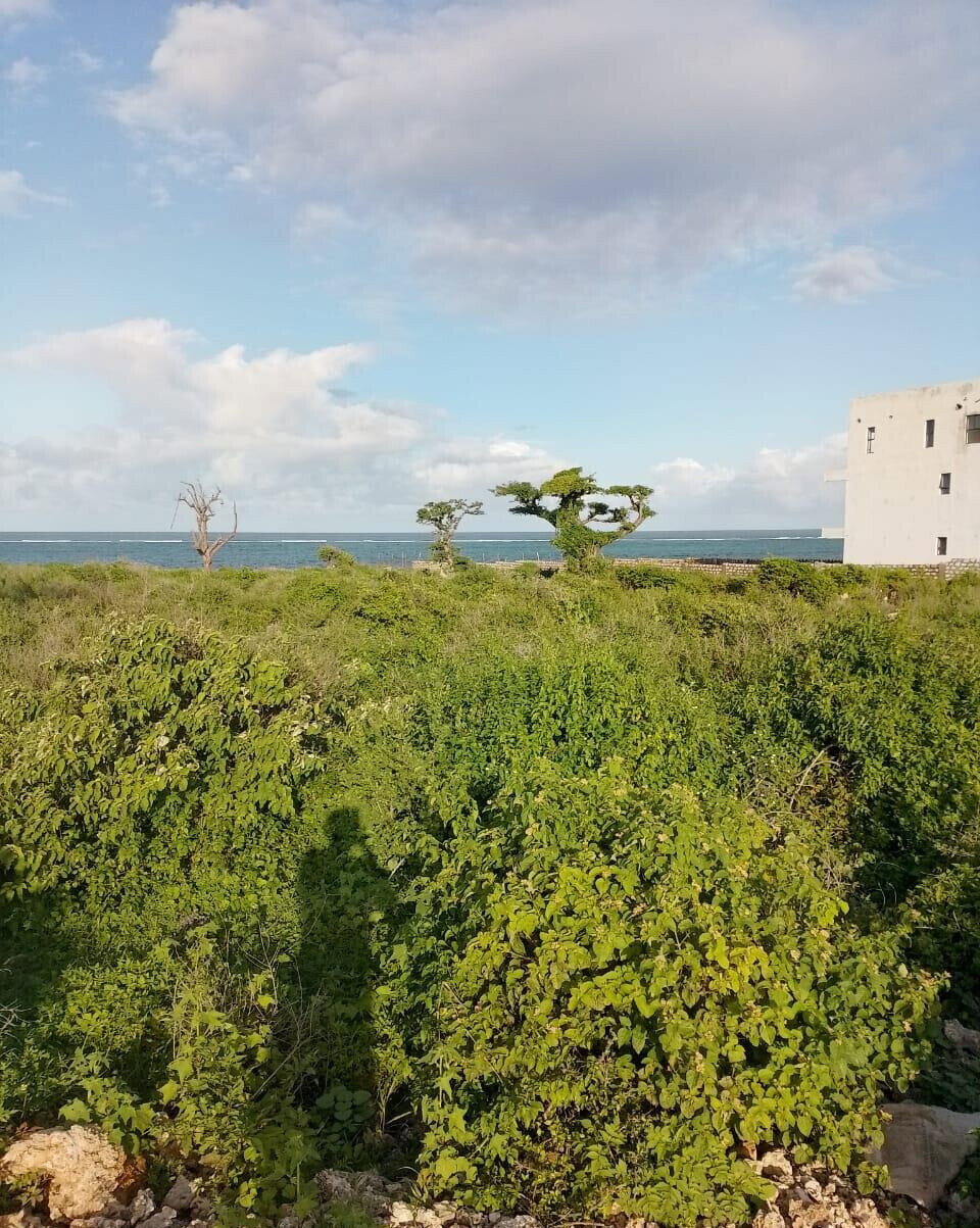 Half Acre Beach Plot in Malindi