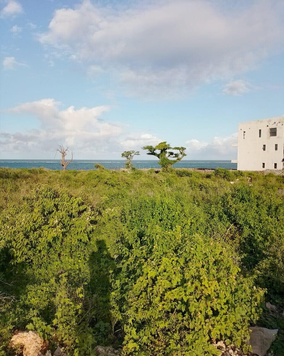 Half Acre Beach Plot in Malindi