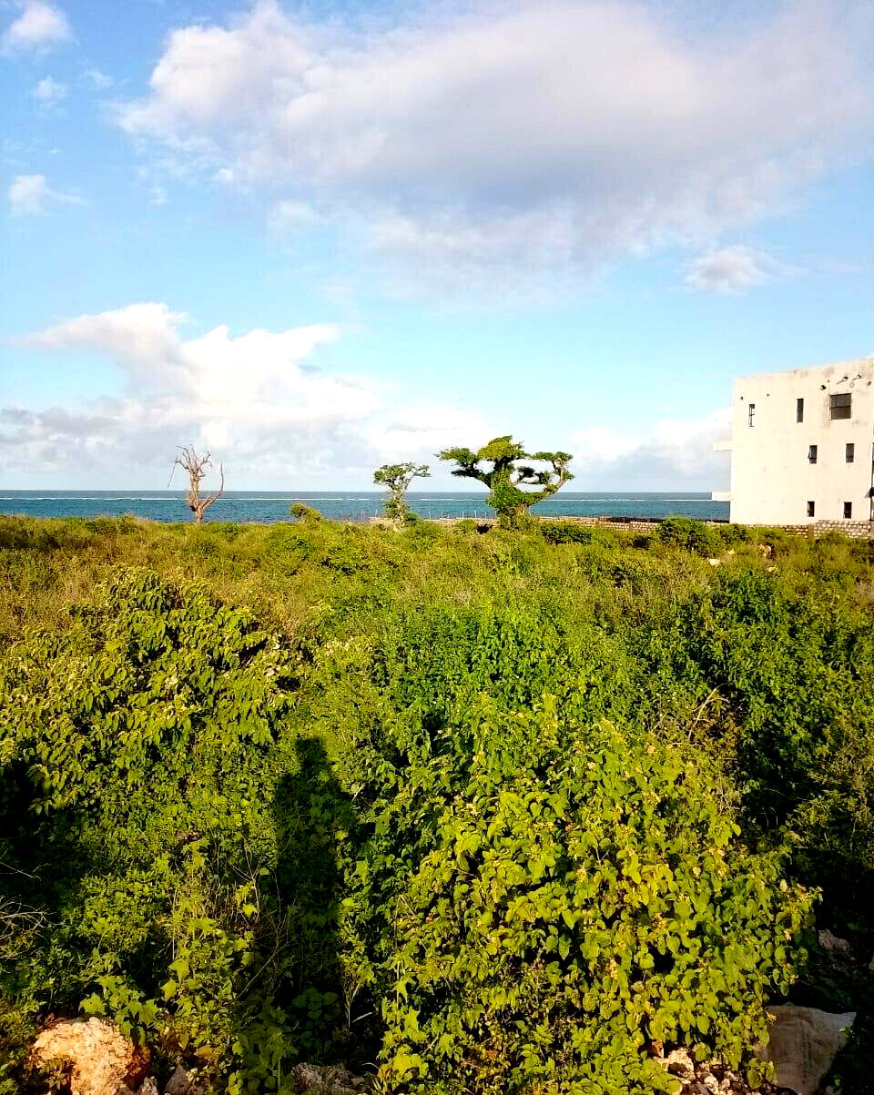 Half Acre Beach Plot in Malindi