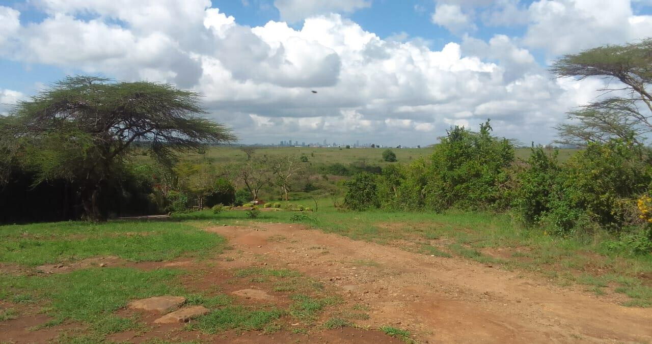 2.5-Acre Plot with Park View - KSh 78M