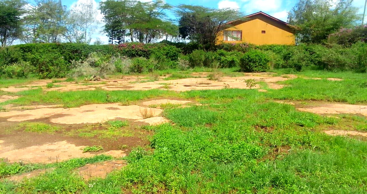 2.5-Acre Plot with Park View - KSh 78M