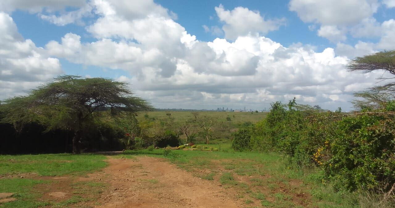 2.5-Acre Plot with Park View - KSh 78M
