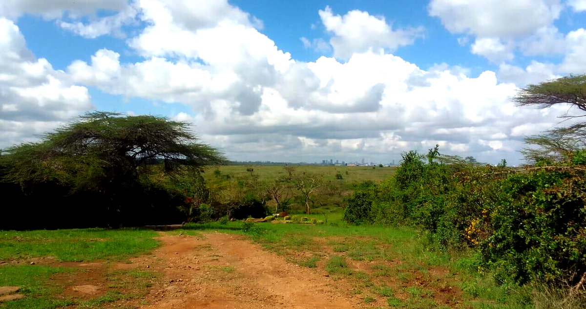 2.5-Acre Plot with Park View - KSh 78M