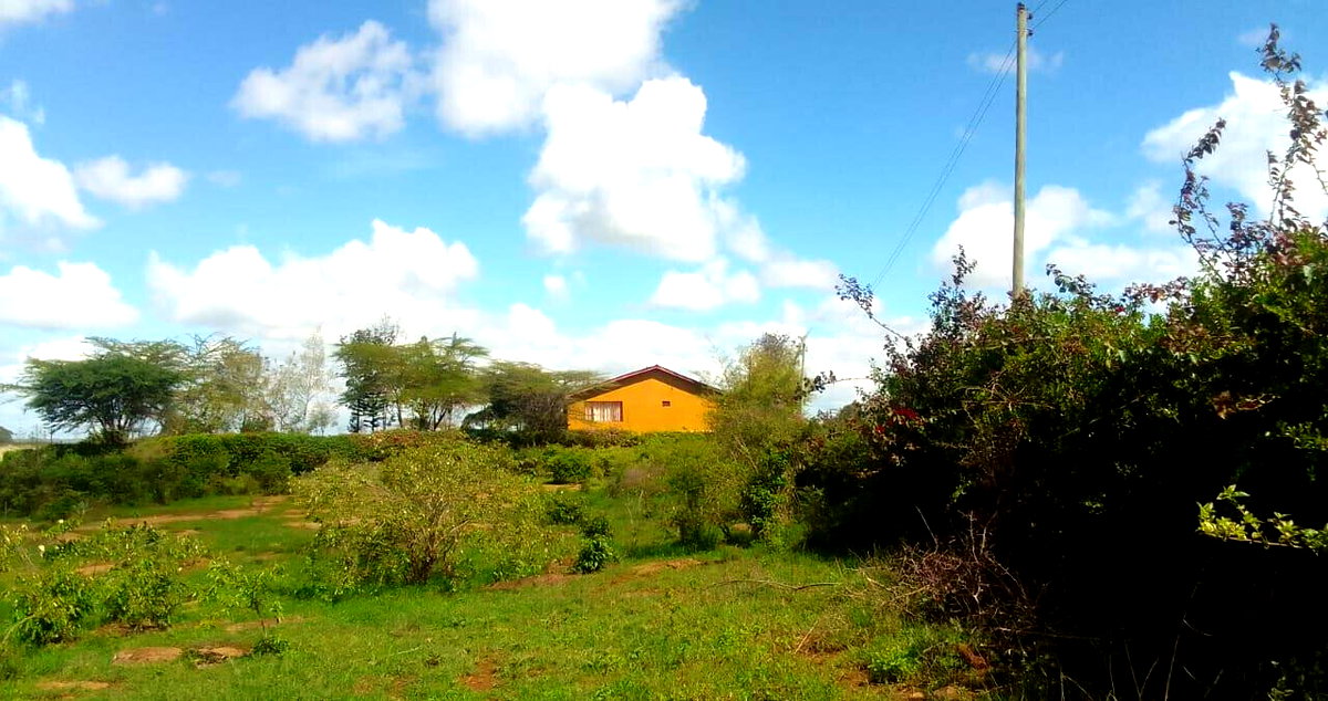 2.5-Acre Plot with Park View - KSh 78M