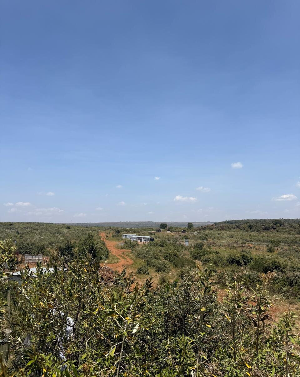 1/8 Acre Garden Plot at KSh 1.2M