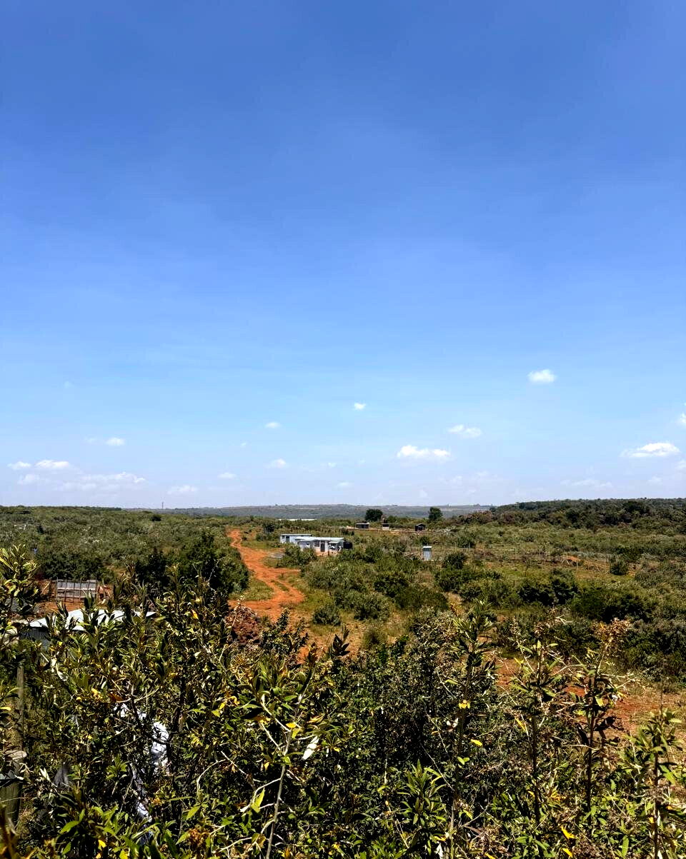 1/8 Acre Garden Plot at KSh 1.2M