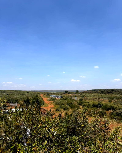 1/8 Acre Garden Plot at KSh 1.2M
