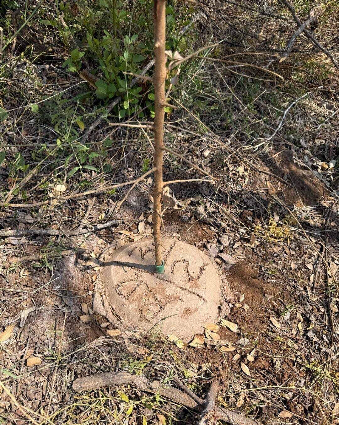 1/8 Acre Garden Plot at KSh 1.2M