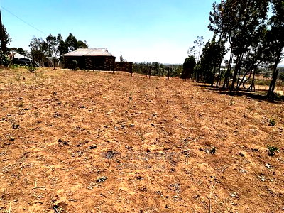 100 X 100ft Fenced Plot for Sale in Kikuyu, Kamangu. - Image 8