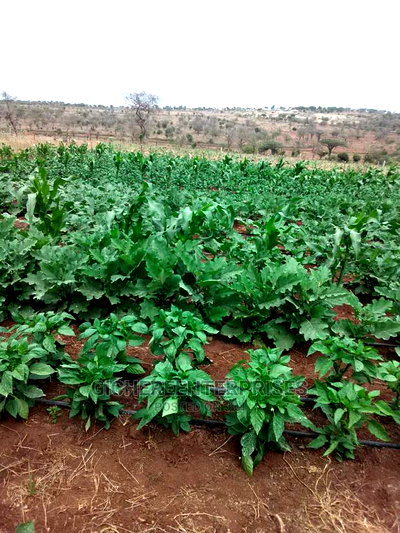 Loitokitok 10,20,42 Acres - Image 1