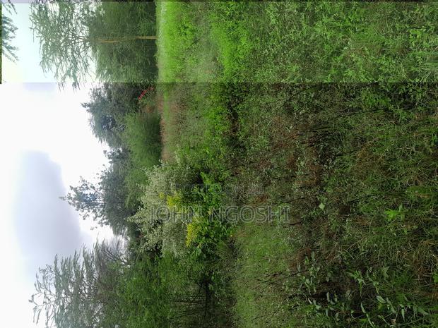 Rongai Nazarene Prime Property