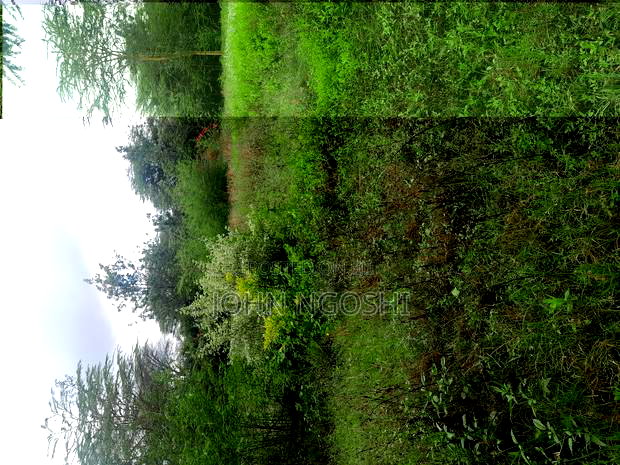 Rongai Nazarene Prime Property