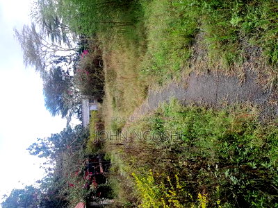 Rongai Nazarene Prime Property - Image 2