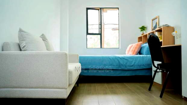 Studio Apartment N 1 Bedroom Apartment Juja Thika Road