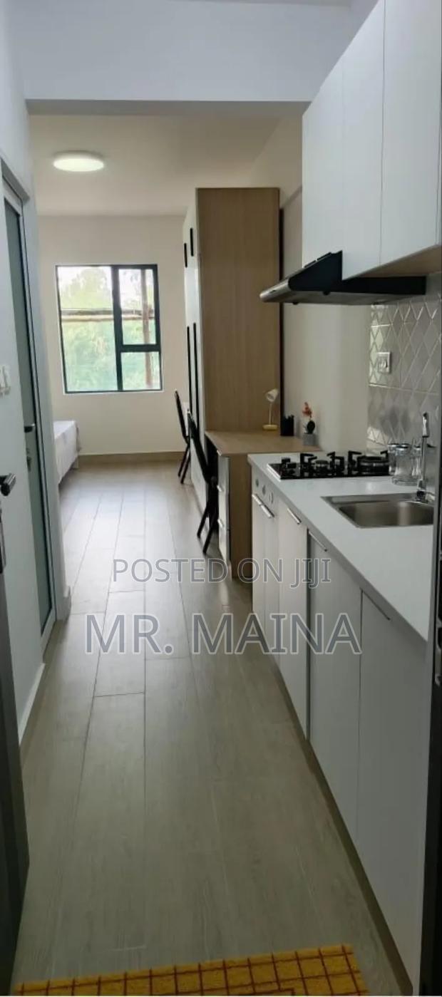 Studio Apartment N 1 Bedroom Apartment Juja Thika Road