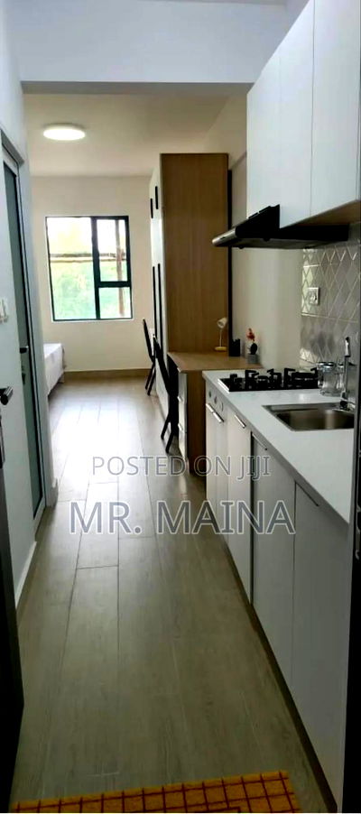 Studio Apartment N 1 Bedroom Apartment Juja Thika Road - Image 8