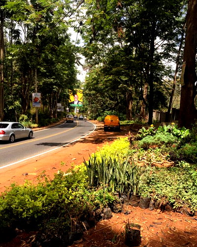 3-Acre Plot for KSh 750M