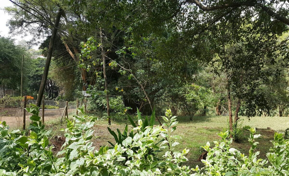 0.95 Acre Plot in Westlands at KSh 330M