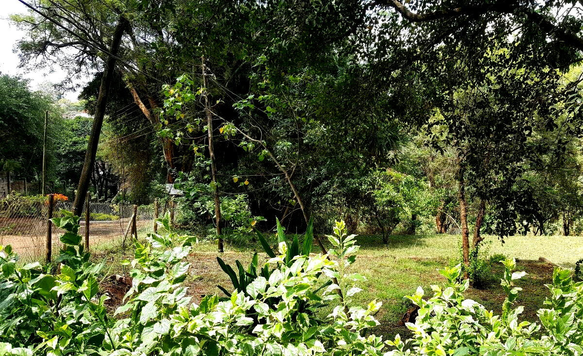 0.95 Acre Plot in Westlands at KSh 330M