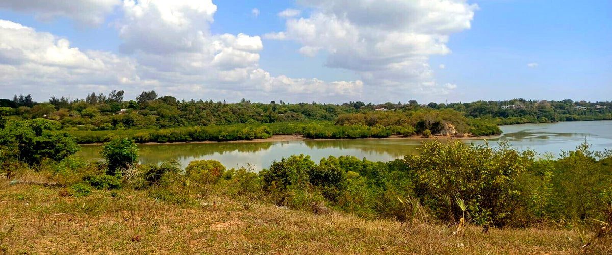 18-Acre Beachfront Plot at KSh 40M