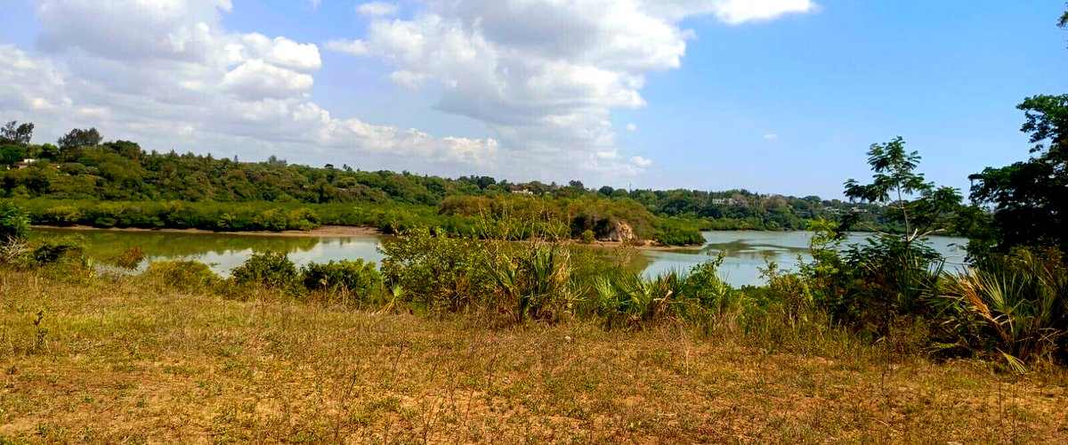 18-Acre Beachfront Plot at KSh 40M