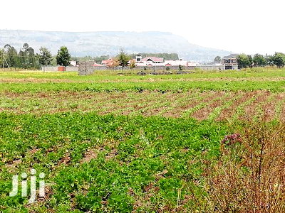 Prime Quarter an Acre at Lanet Nakuru for Sale. - Image 2