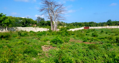 50x100 Plot for KSh 1.8M
