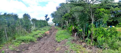 One Acreas Nanyuki Mirera - Image 5