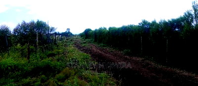 One Acreas Nanyuki Mirera - Image 4