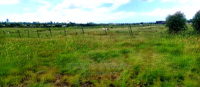 One Acreas Nanyuki Mirera - Image 6