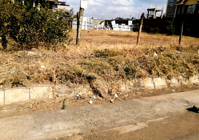 KSh 10M Kahawa Plot