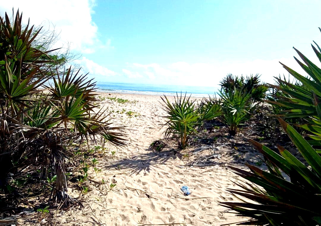 1-Acre Pet Friendly Plot in Malindi