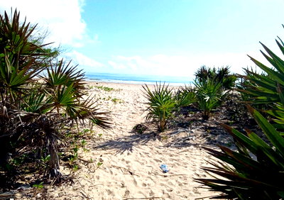1-Acre Pet Friendly Plot in Malindi