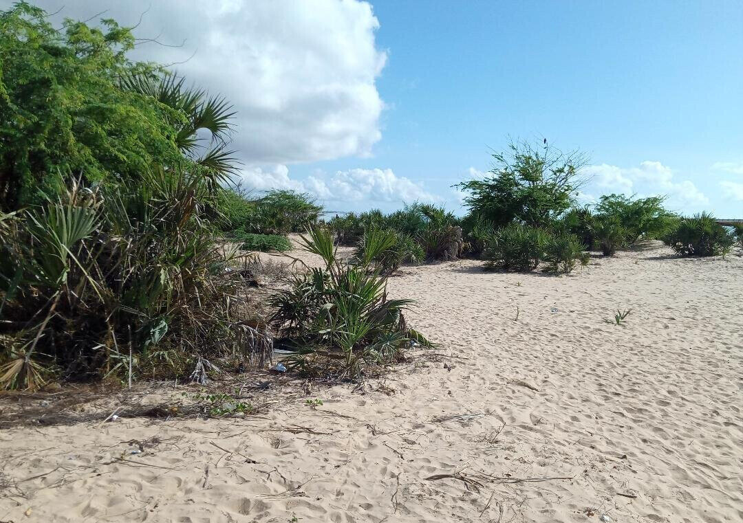1-Acre Pet Friendly Plot in Malindi