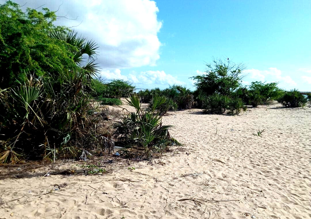 1-Acre Pet Friendly Plot in Malindi