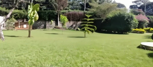 Modern Hospital Site 0.47 Acres Land