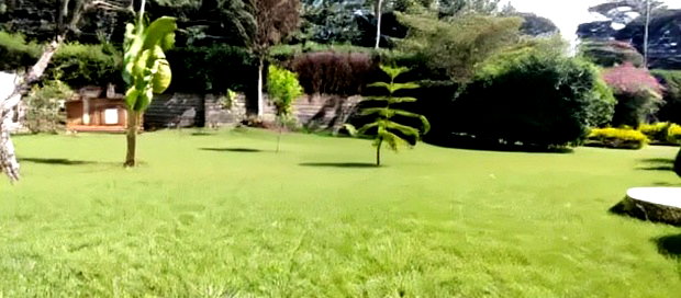 Modern Hospital Site 0.47 Acres Land