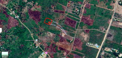 2-Acre Mid-Lot Behind Bora Bora Wildlife Park 5m Per Acre - Image 2