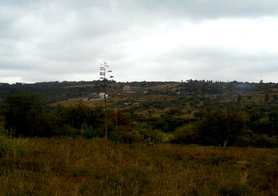 28-Acre Garden Land with Parking - Machakos