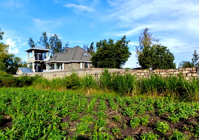 Quarter Acre Plot with Garden for KSh 5.5M