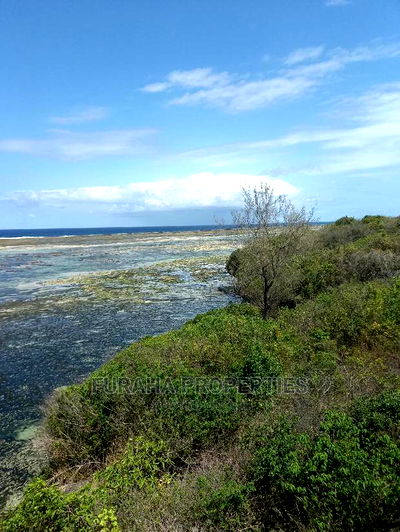 For Sale 2 Acre Beach Land Likoni - Image 2