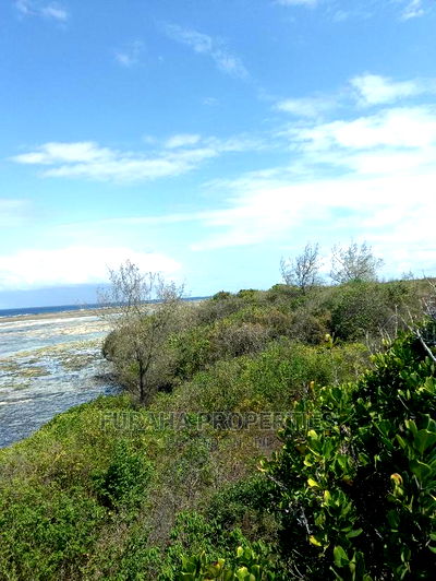 For Sale 2 Acre Beach Land Likoni - Image 4