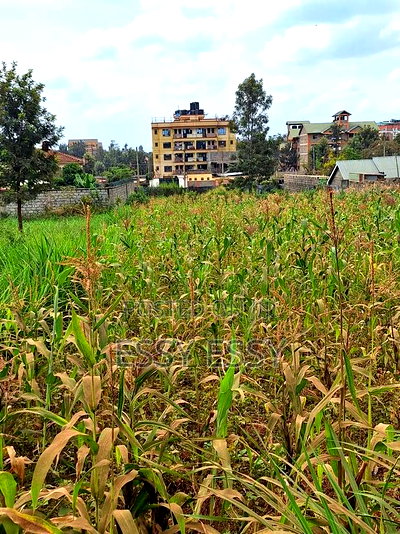 Kamiti Road 1/4 Commercial Acre Plot - Image 2