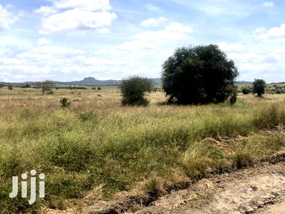 32acres Kinanie - Image 4