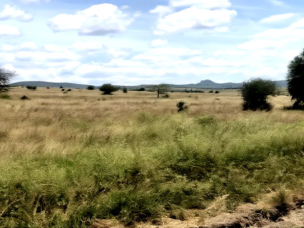 32acres Kinanie