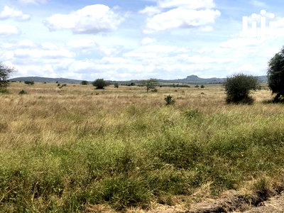 32acres Kinanie - Image 5