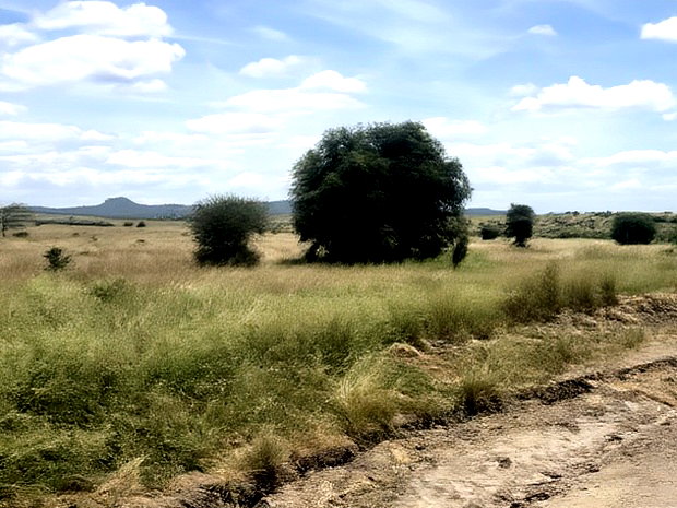 32acres Kinanie